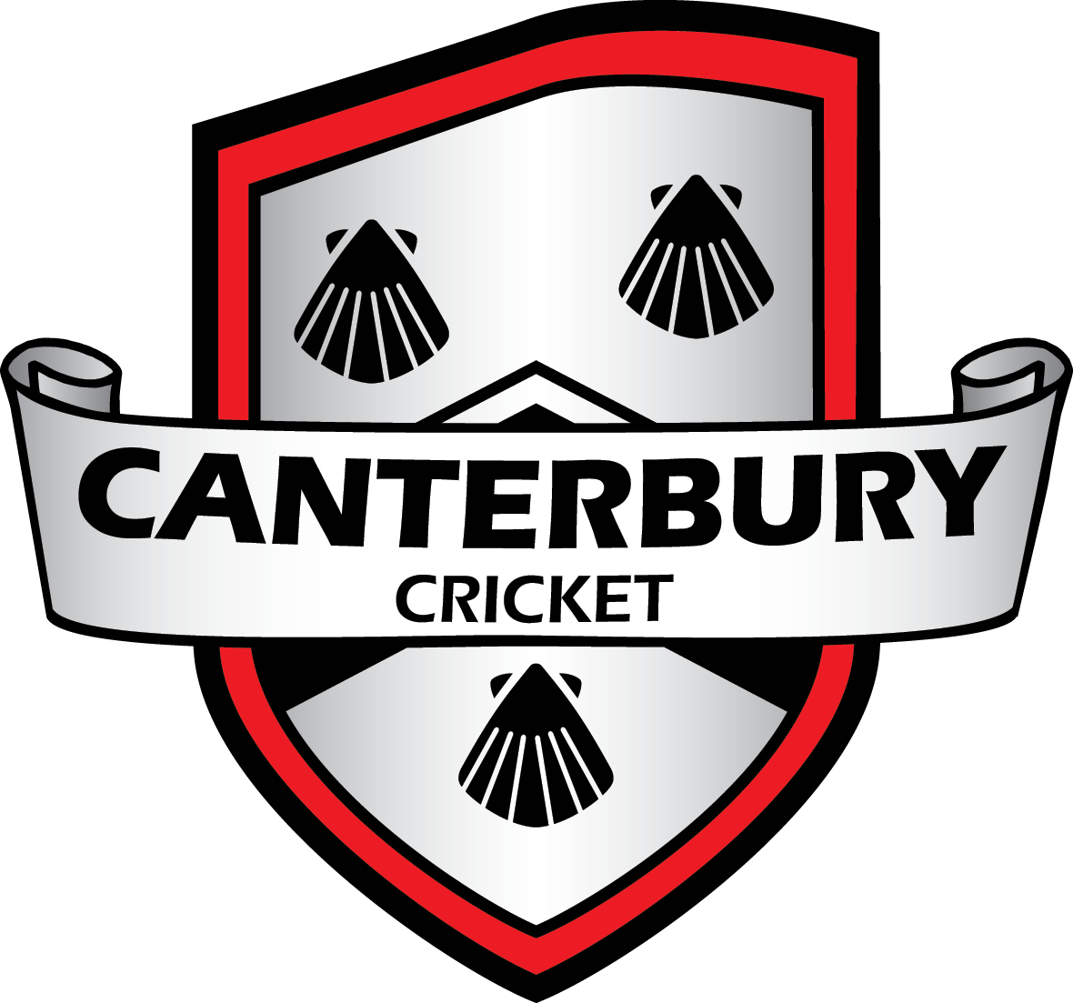 appoint-the-canterbury-cricket-association